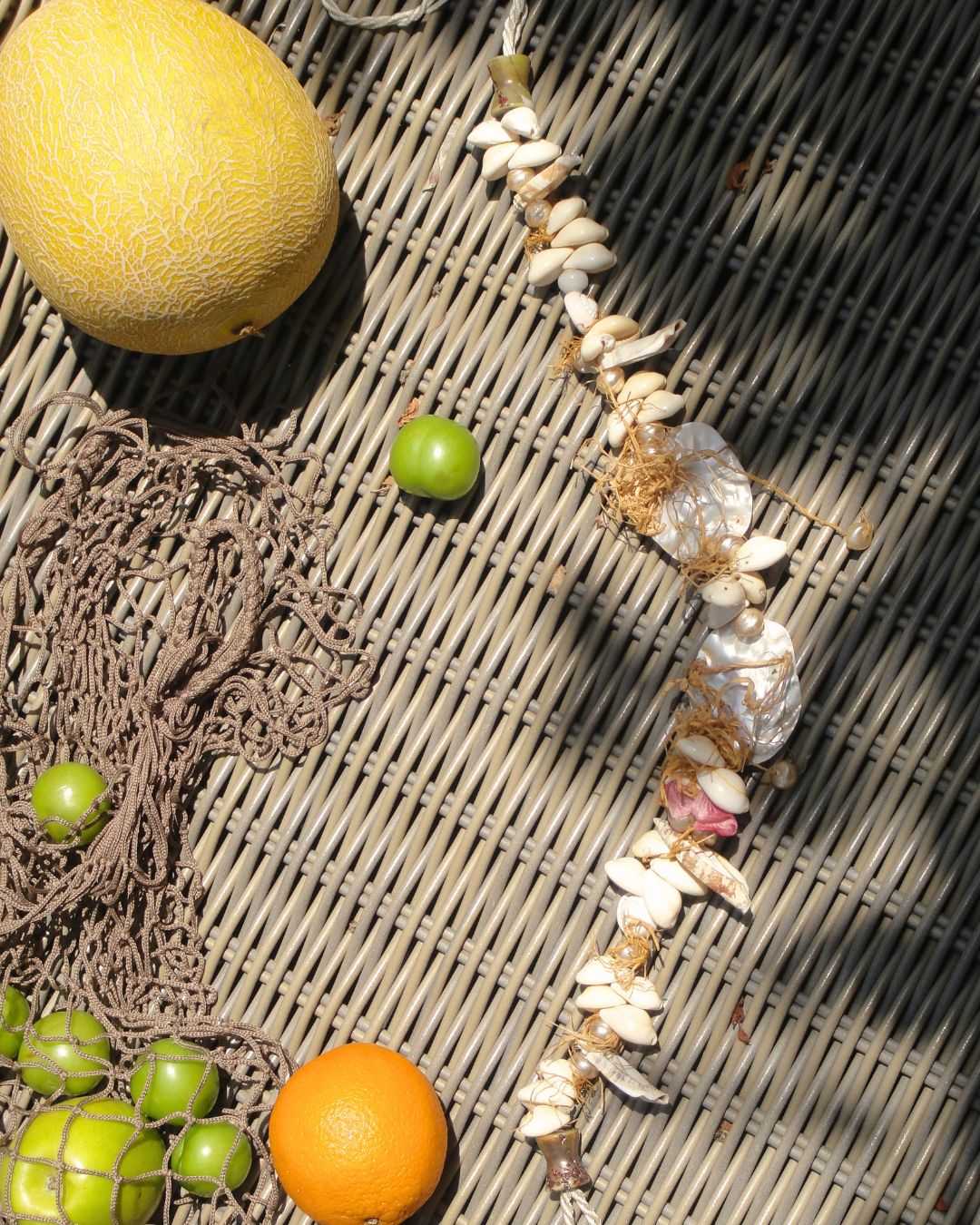 Çoklu Midye Detaylı Kemer/Kolye