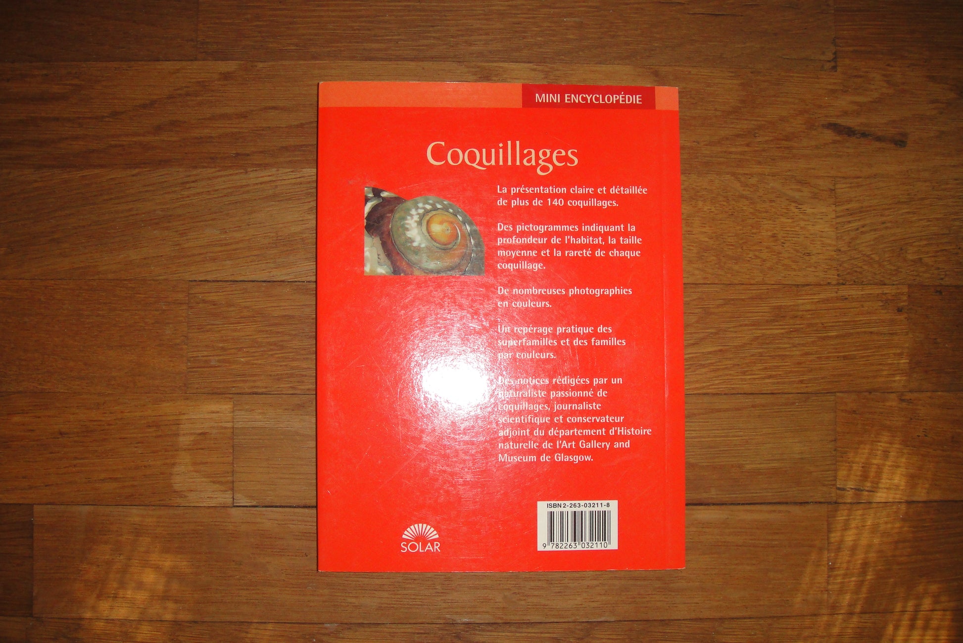 Coquillage Mini Ansiklopedi Kitap
