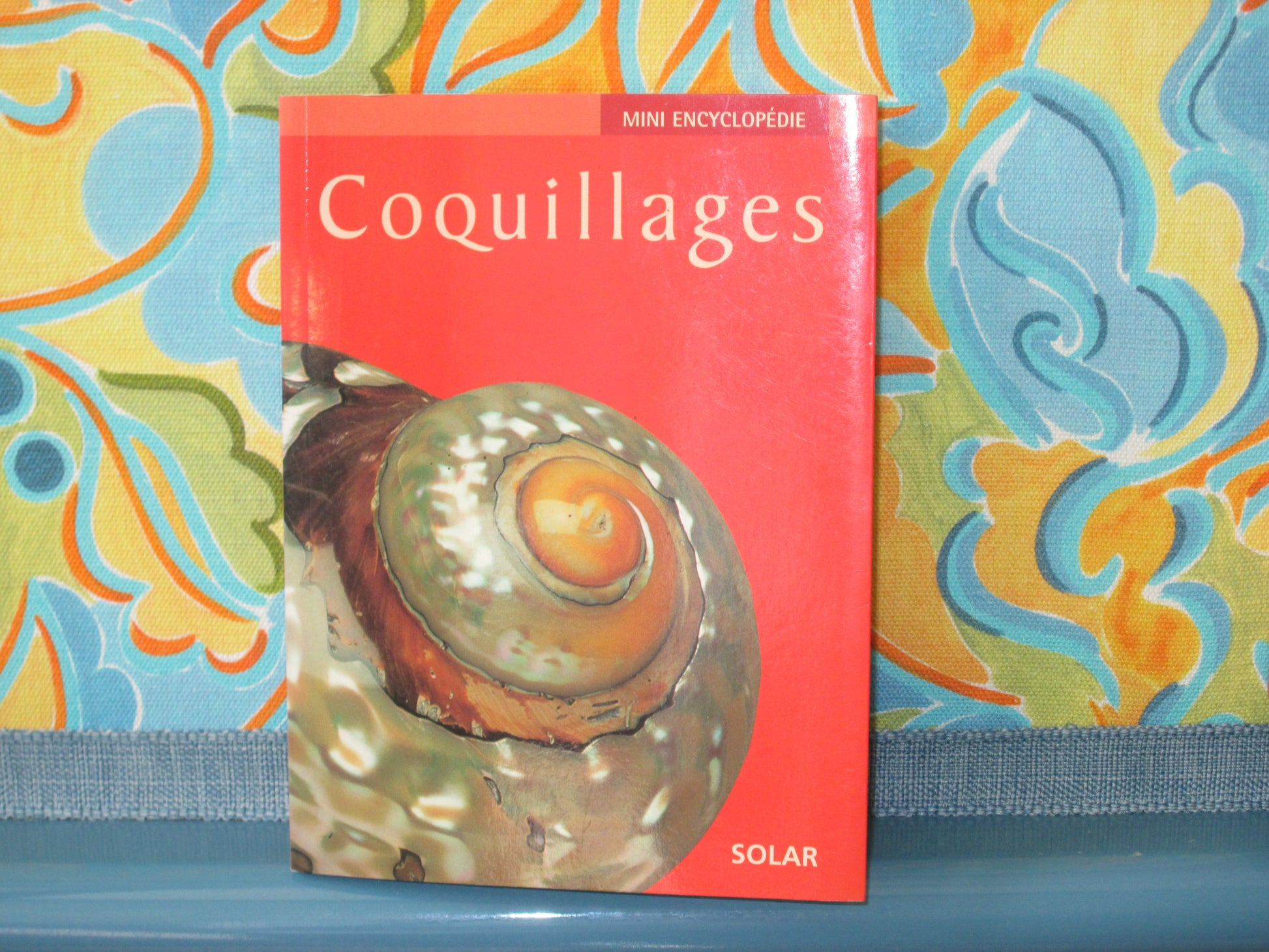 Coquillage Mini Ansiklopedi Kitap